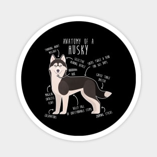 Black and White Siberian Husky Dog Anatomy Magnet